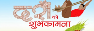 Dashai